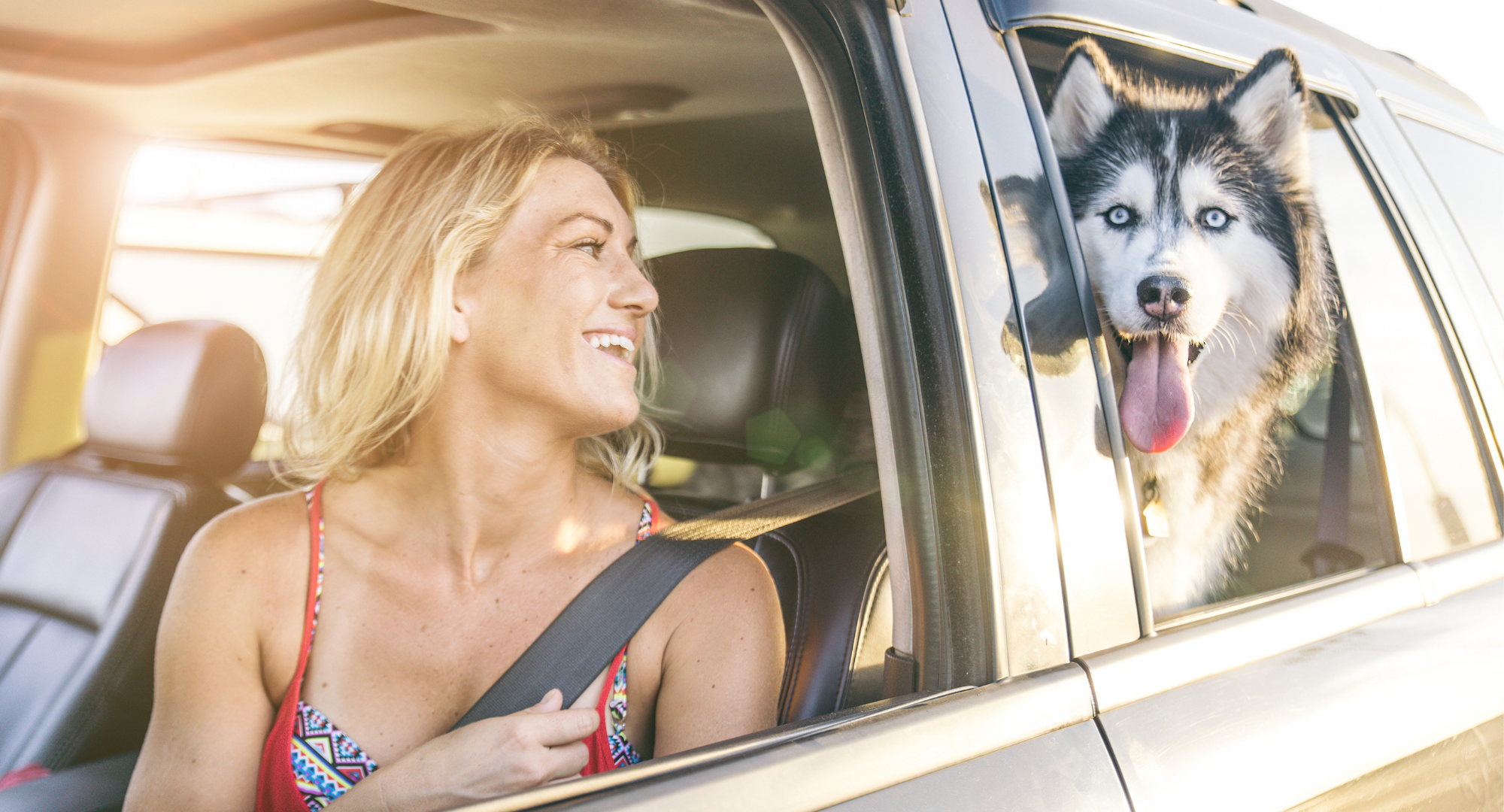 Drive with Leash Drive with Leash